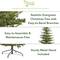 7ft. Unlit Vancouver Mountain Pine Artificial Christmas Tree